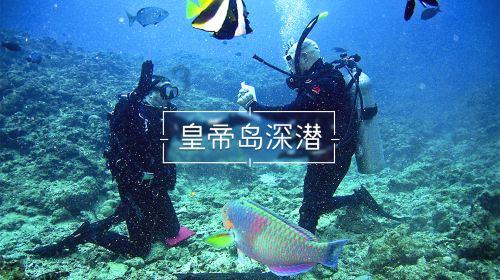 全民剧本大师内置菜单